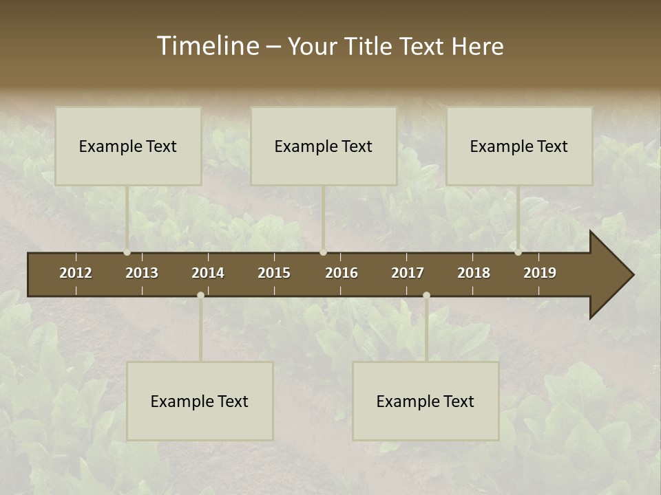 Field Of Lettuce PowerPoint Template