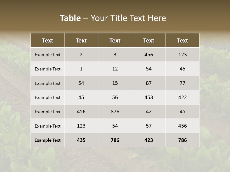 Field Of Lettuce PowerPoint Template