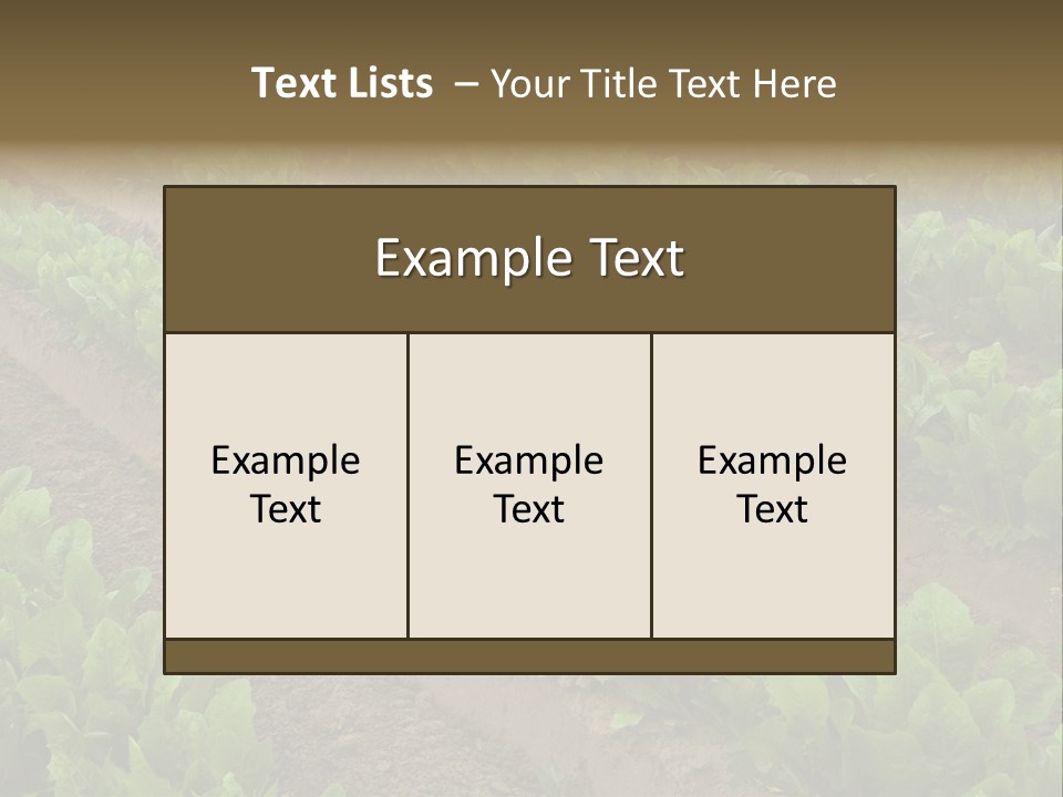 Field Of Lettuce PowerPoint Template