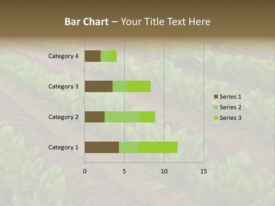 Field Of Lettuce PowerPoint Template