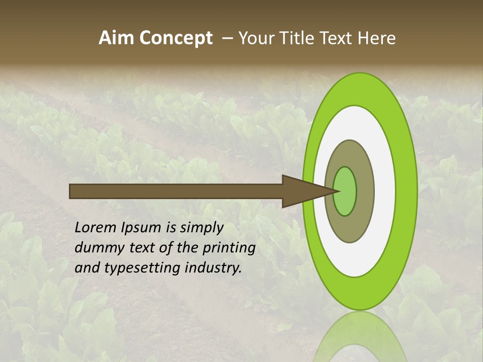 Field Of Lettuce PowerPoint Template