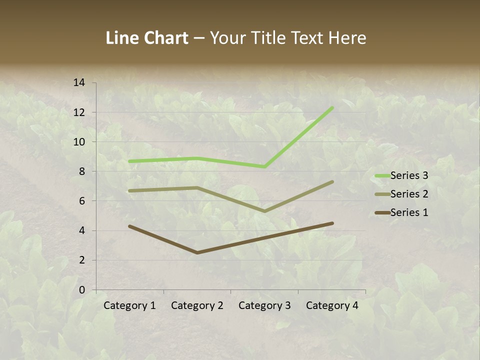 Field Of Lettuce PowerPoint Template