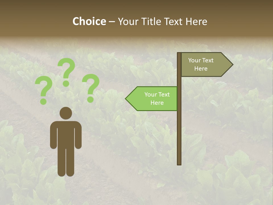 Field Of Lettuce PowerPoint Template