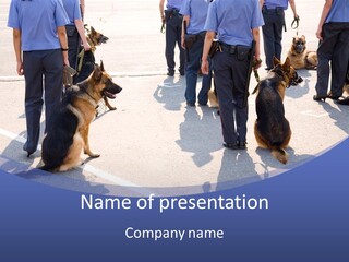 Police Working Dogs PowerPoint Template