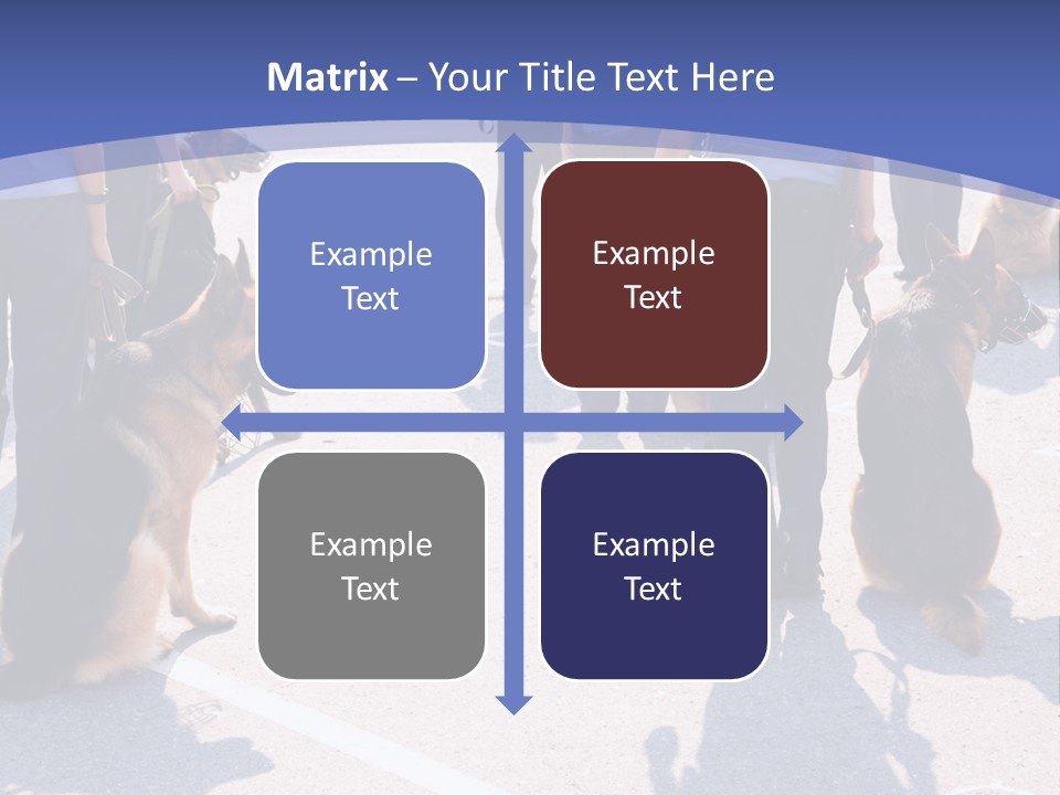 Police Working Dogs PowerPoint Template