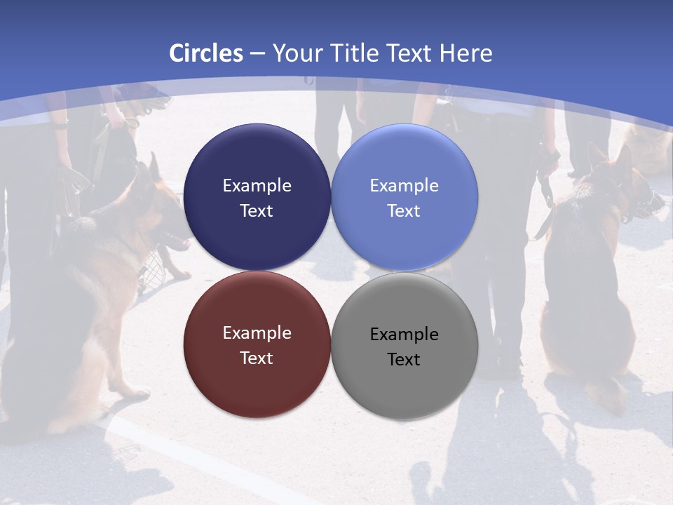 Police Working Dogs PowerPoint Template
