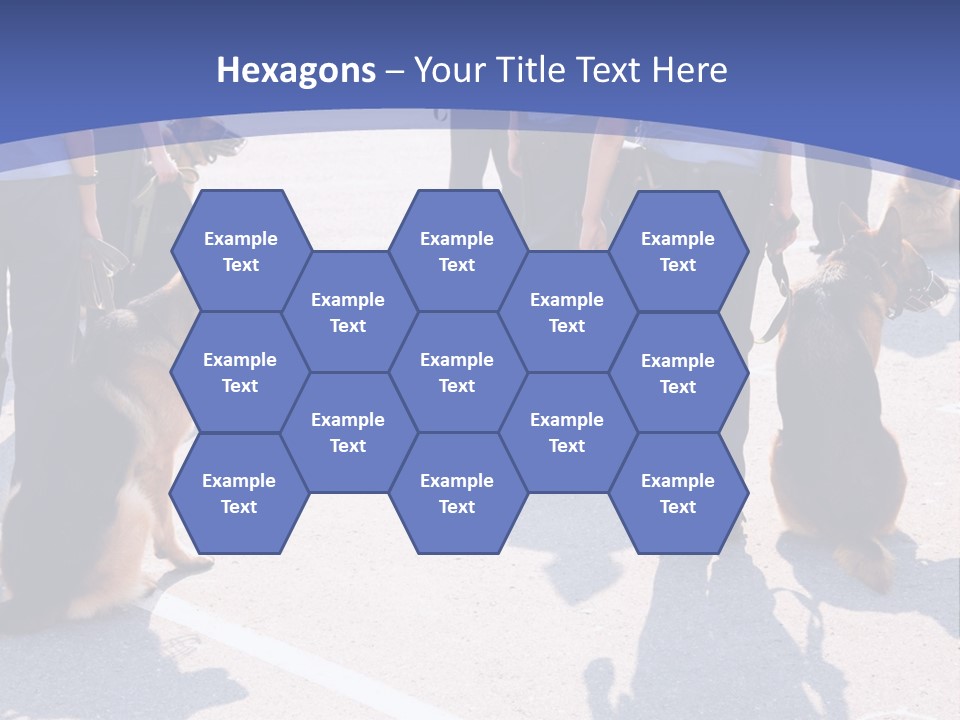 Police Working Dogs PowerPoint Template