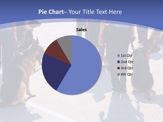 Police Working Dogs PowerPoint Template