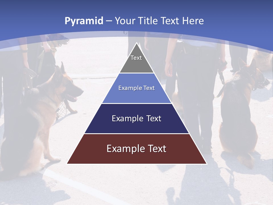 Police Working Dogs PowerPoint Template
