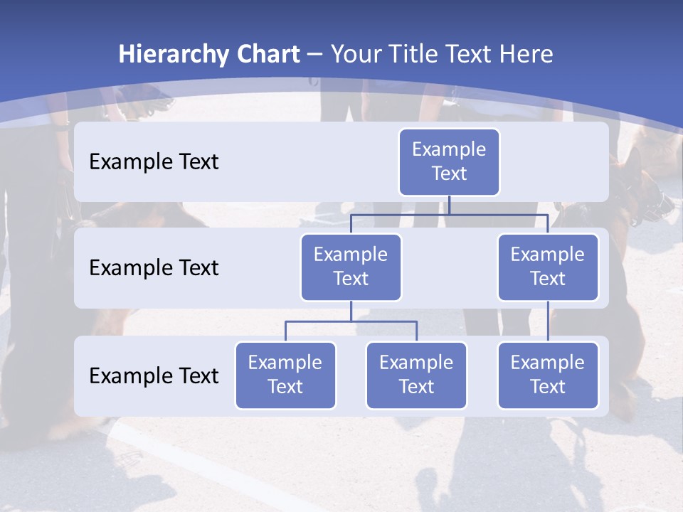 Police Working Dogs PowerPoint Template