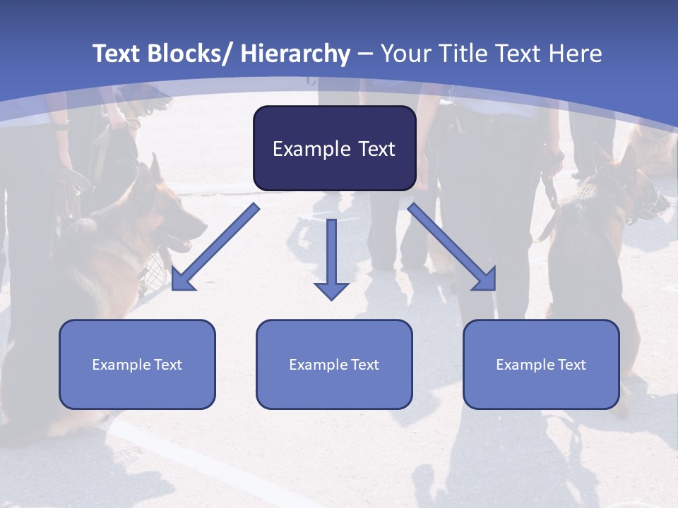 Police Working Dogs PowerPoint Template