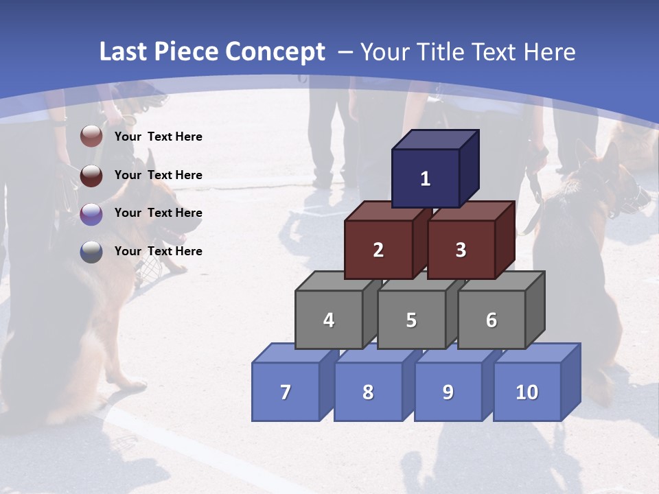 Police Working Dogs PowerPoint Template