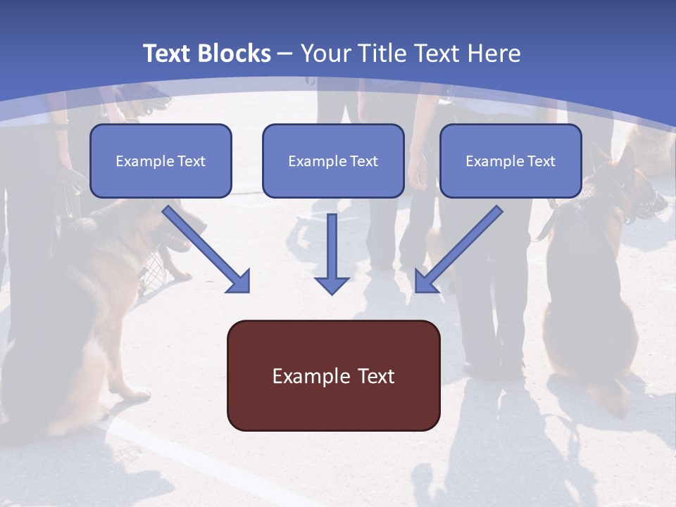 Police Working Dogs PowerPoint Template