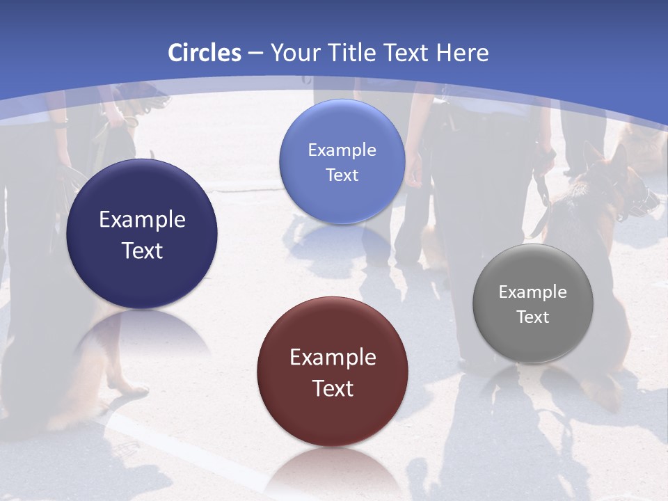 Police Working Dogs PowerPoint Template