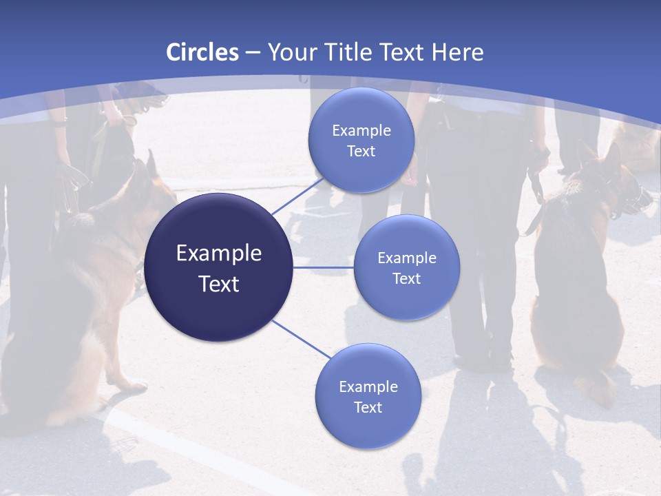 Police Working Dogs PowerPoint Template