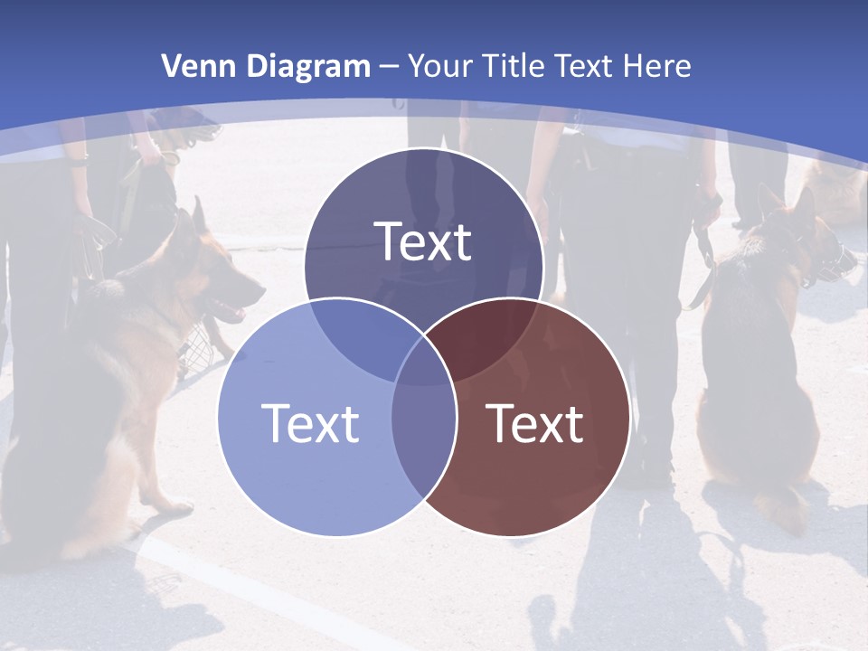 Police Working Dogs PowerPoint Template