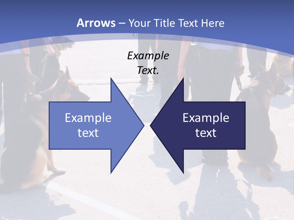 Police Working Dogs PowerPoint Template