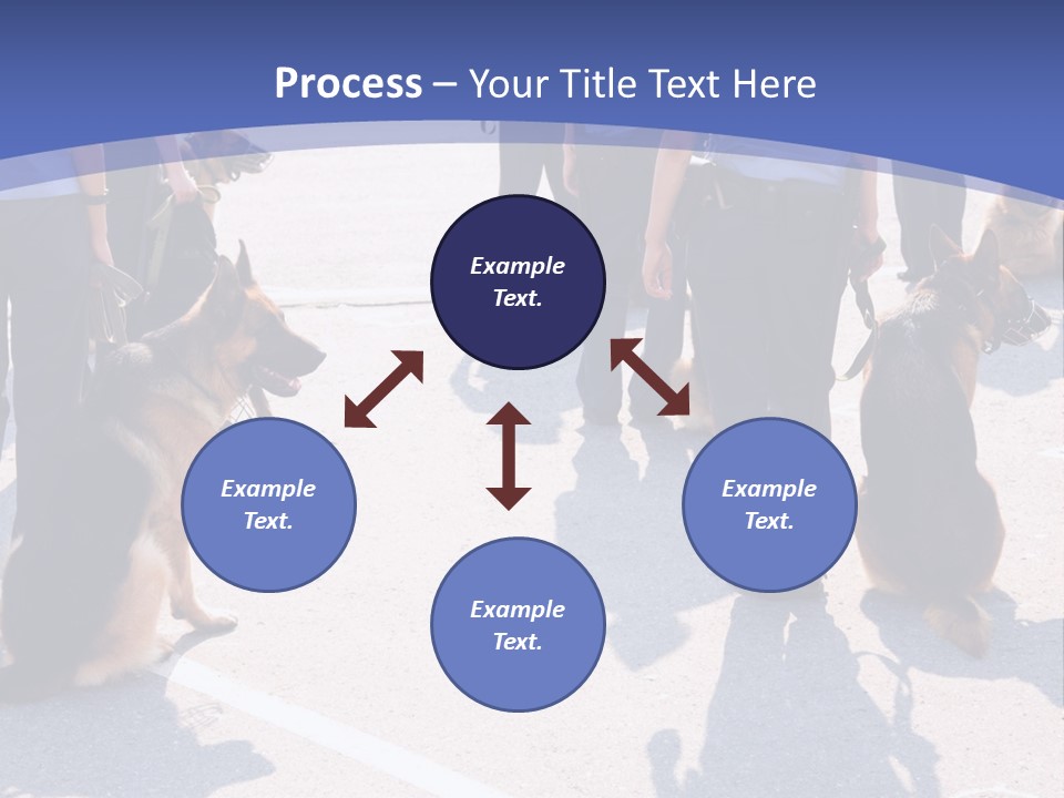 Police Working Dogs PowerPoint Template