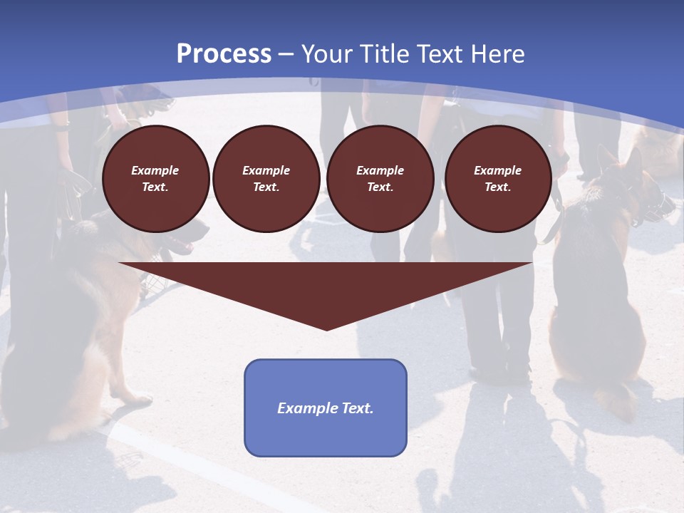 Police Working Dogs PowerPoint Template