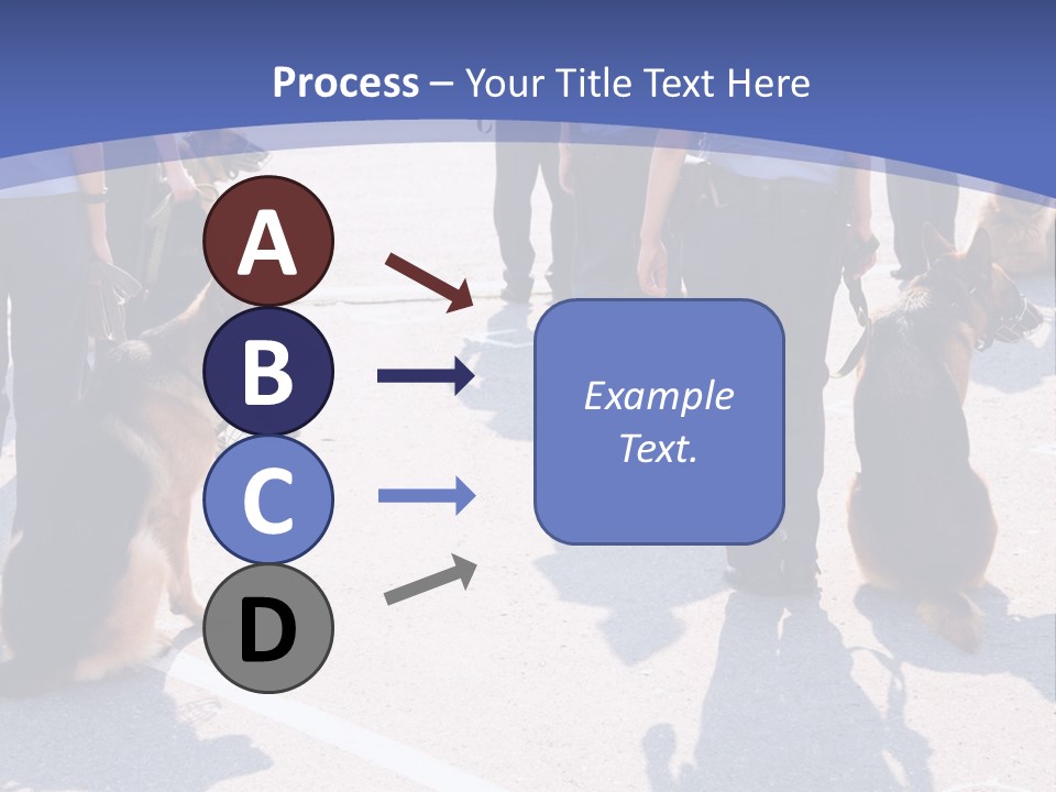 Police Working Dogs PowerPoint Template