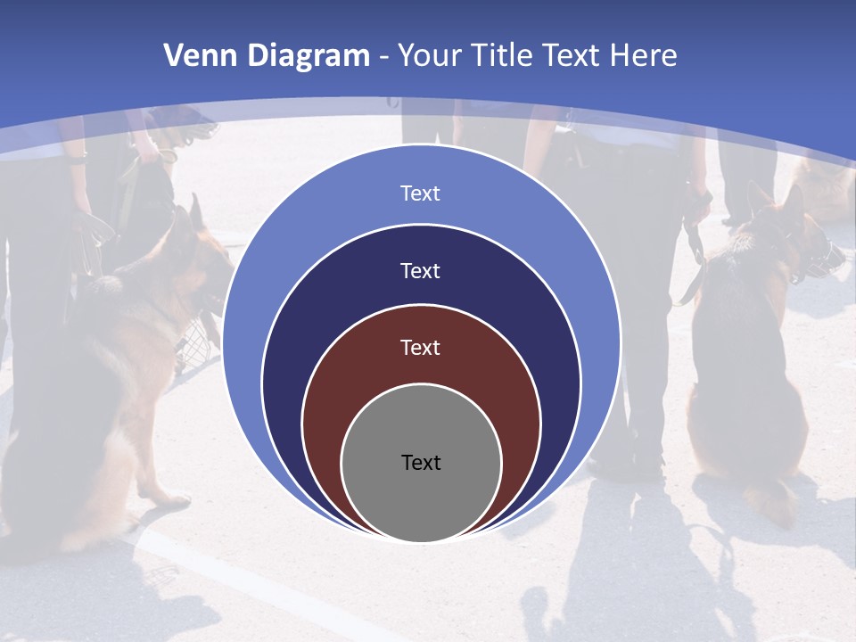 Police Working Dogs PowerPoint Template