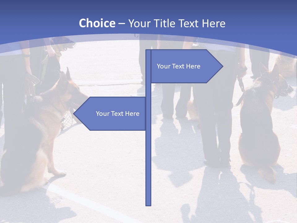 Police Working Dogs PowerPoint Template