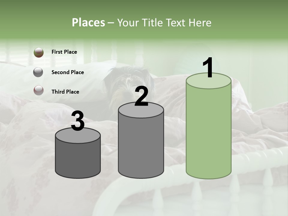 Dog In Bed PowerPoint Template