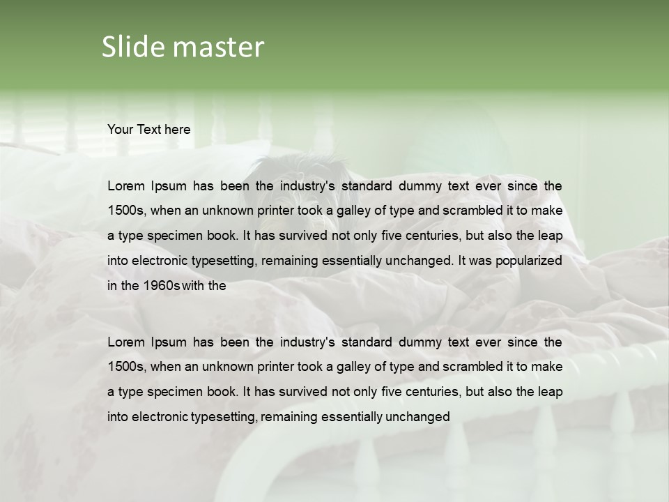 Dog In Bed PowerPoint Template