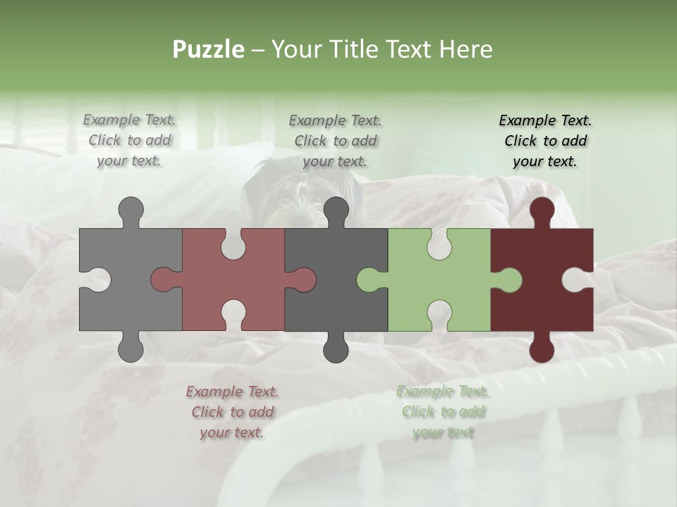 Dog In Bed PowerPoint Template