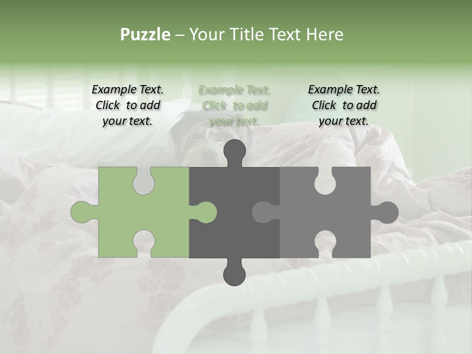 Dog In Bed PowerPoint Template