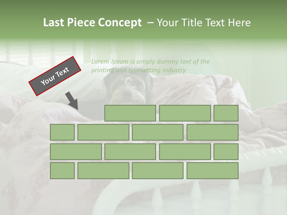 Dog In Bed PowerPoint Template