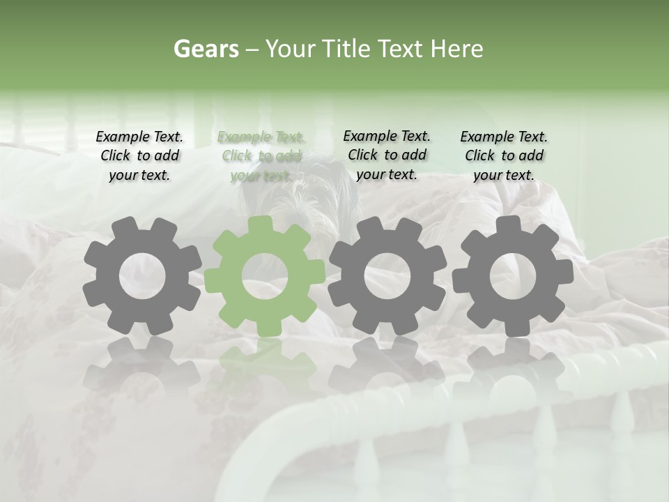 Dog In Bed PowerPoint Template