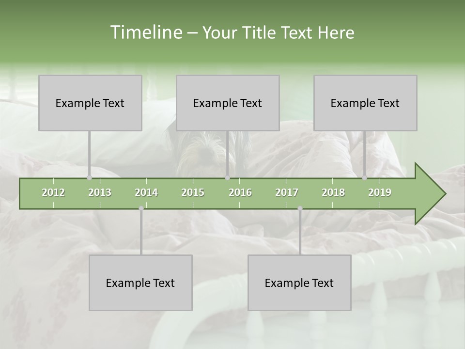 Dog In Bed PowerPoint Template