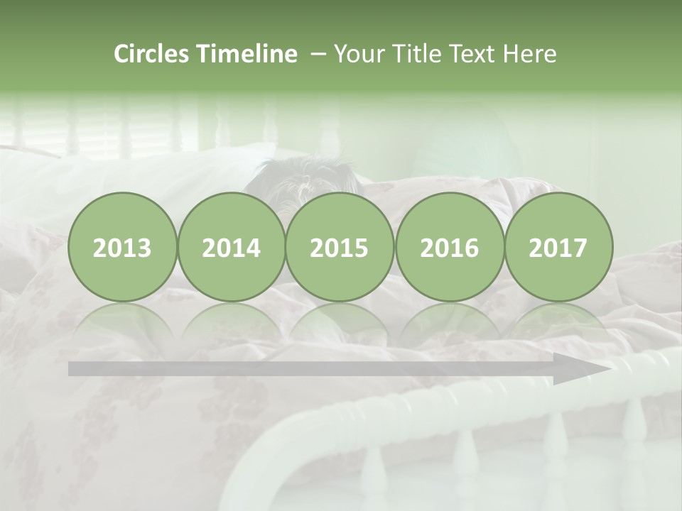 Dog In Bed PowerPoint Template