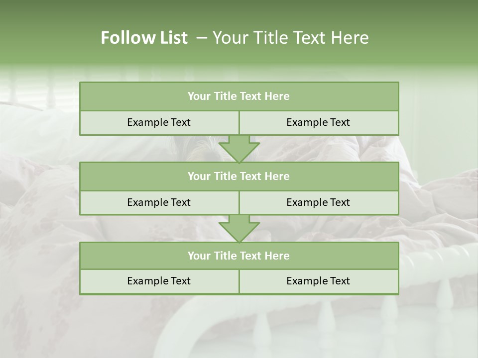 Dog In Bed PowerPoint Template