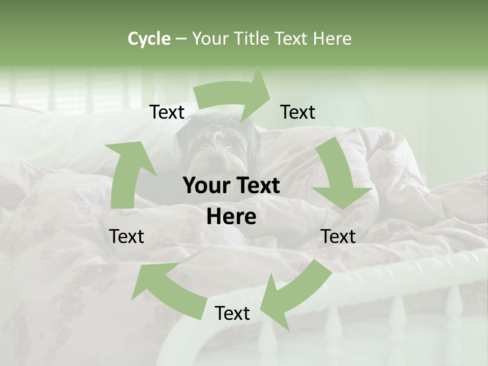 Dog In Bed PowerPoint Template