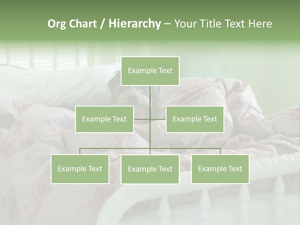 Dog In Bed PowerPoint Template