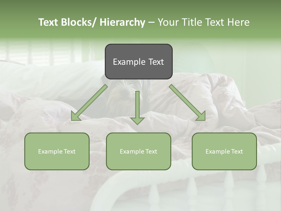 Dog In Bed PowerPoint Template