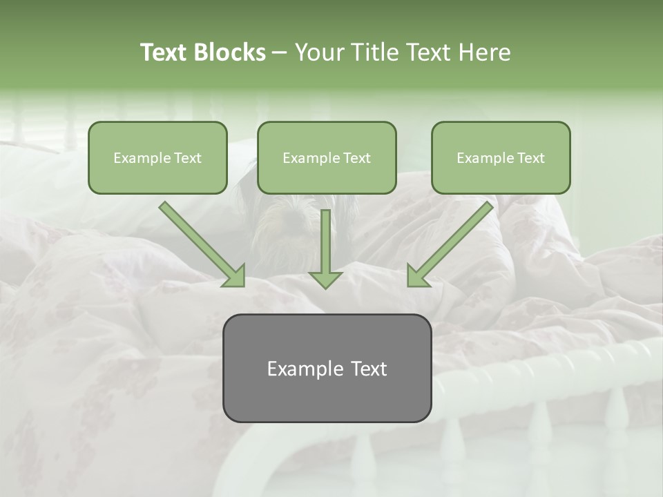 Dog In Bed PowerPoint Template