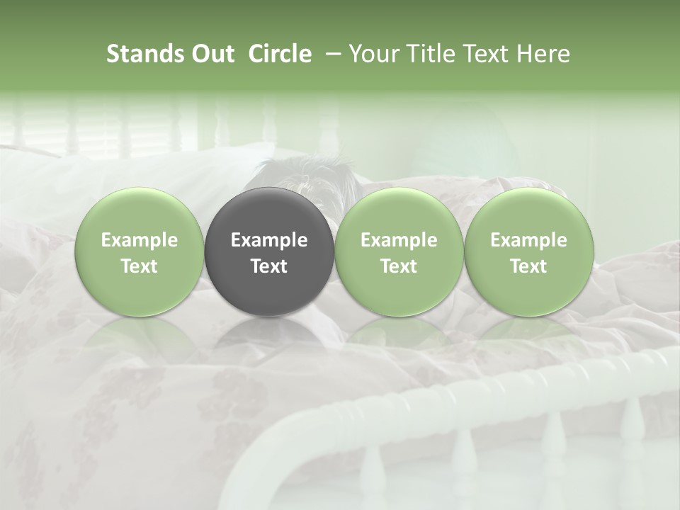 Dog In Bed PowerPoint Template