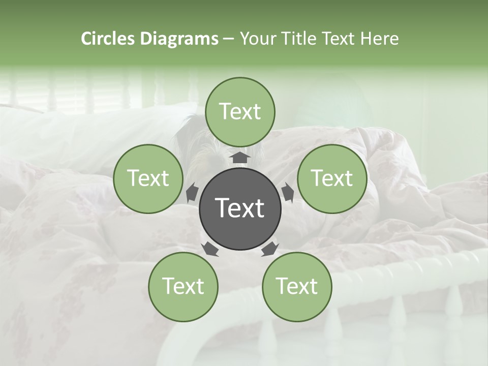 Dog In Bed PowerPoint Template