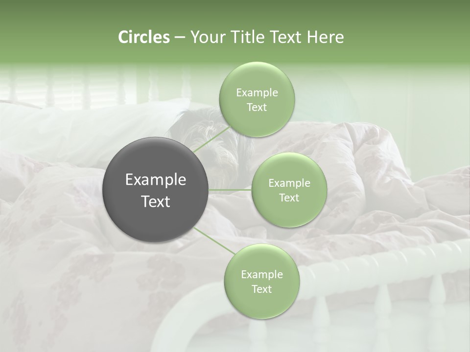 Dog In Bed PowerPoint Template