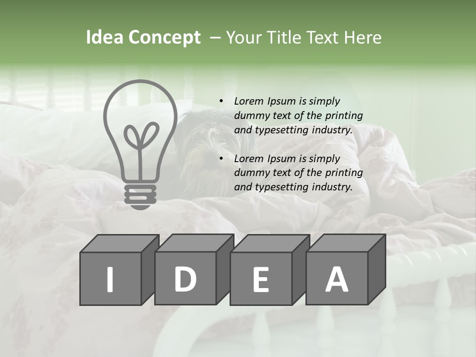 Dog In Bed PowerPoint Template