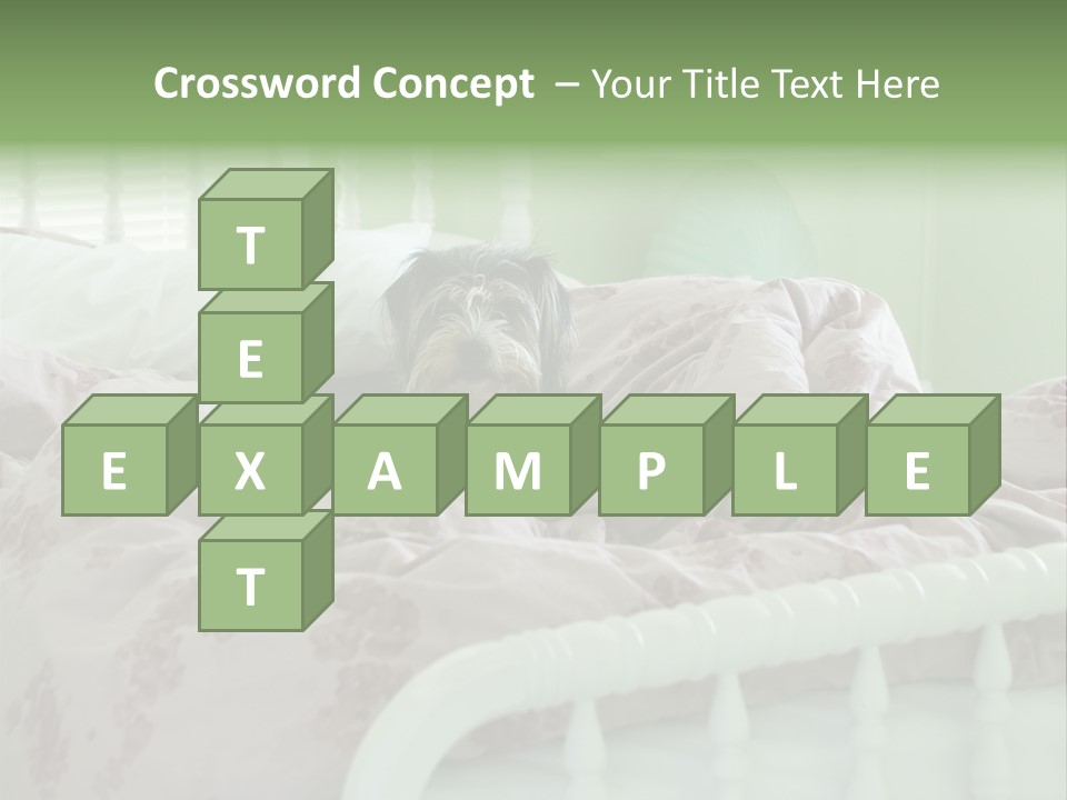 Dog In Bed PowerPoint Template