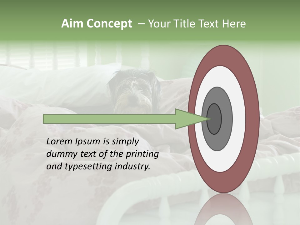 Dog In Bed PowerPoint Template