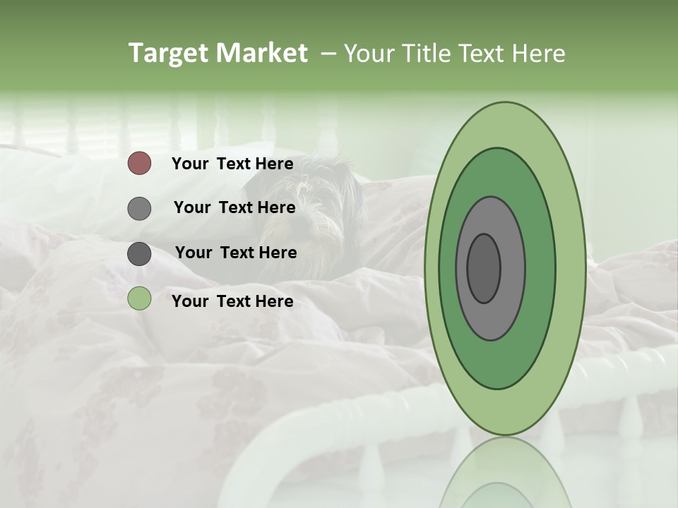 Dog In Bed PowerPoint Template