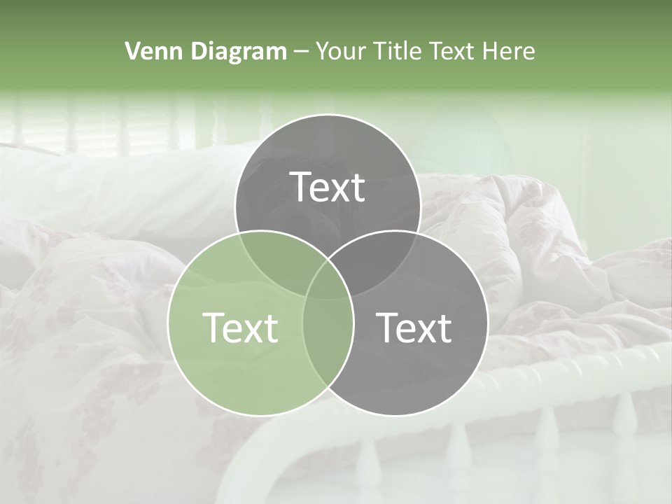 Dog In Bed PowerPoint Template