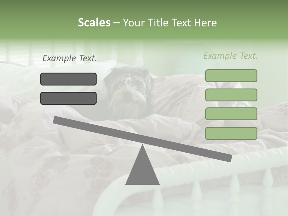 Dog In Bed PowerPoint Template