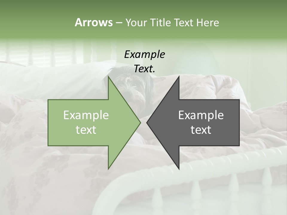 Dog In Bed PowerPoint Template