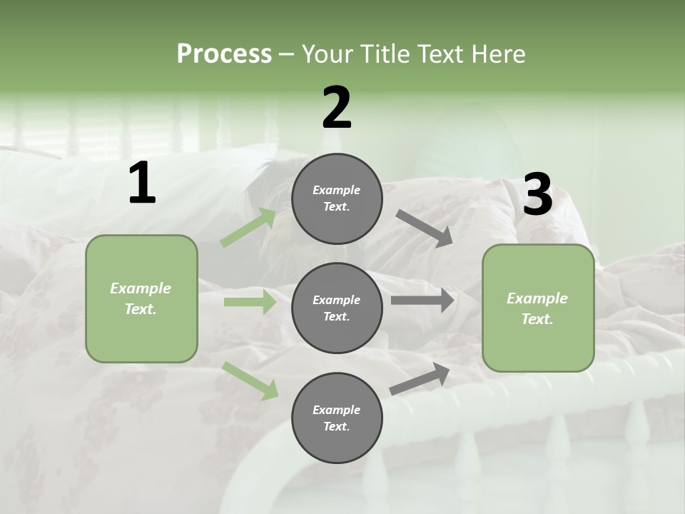 Dog In Bed PowerPoint Template